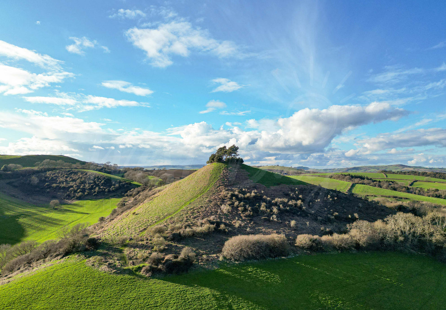 Sunny Colmers Hill - Colmers Hill | Dorset